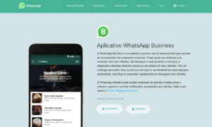 camile woinarski - FERRAMENTAS GRATUITAS PARA EMPREENDEDORES - whatsapp business